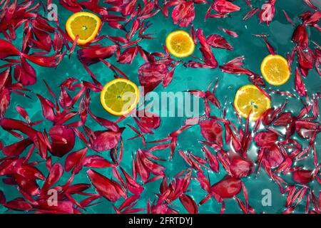 Red peony petals and orange slices on the water Stock Photo
