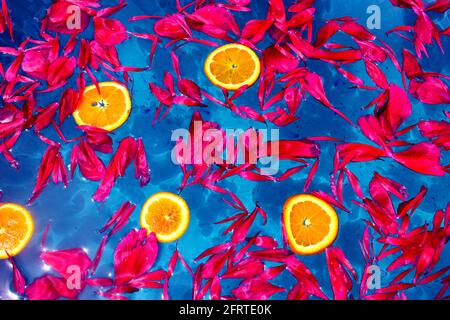 Red petals and orange slices floating on blue water Stock Photo