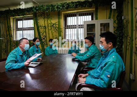 (210521) -- BEIJING, May 21, 2021 (Xinhua) -- Ma Tao (1st L) discusses with colleagues at the giant panda pavilion of Beijing Zoo in Beijing, capital of China, April 21, 2021. Ma Tao, 51 years old, breeder of the giant panda pavilion of Beijing Zoo, has been a feeder of giant pandas for 32 years. Every day, before working, Ma observes the condition of giant pandas and adjusts food recipe for them. Over the past years, Ma has fed about 20 giant pandas, with whom he also developed deep emotions.  Nowadays he can quickly judge the health condition of the animal with methods he explored and conclu Stock Photo