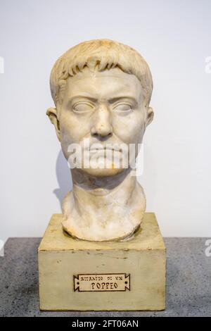 Bust of Poppeus - I sec BC Casa degli Amorini dorati (House of the Gilded cupids) Marble Pompeii archaeological site, Italy