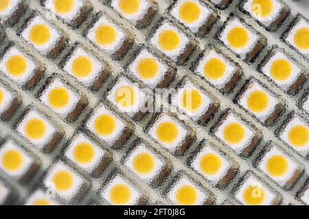 Close-up macro view of led smd bulb lamp with rows of yellow diode light components panel. Tech abstract texture pattern background electronic Stock Photo