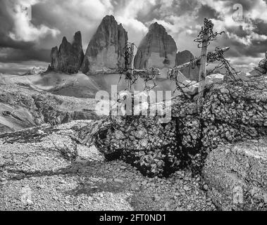 Italy. The image is of remnants from the First World War from the Austrian front line trench system looking towards the famous Three Towers, known in German as Drei Zinnen but more poetically named in Italian as the Tre Cime di Laverado located in the Sexten-Sesto western region of the Italian Dolomites. During the First World War, known as the White War the peaks provided a natural barrier between the  Italians and the warring Austrians, the front line running through the peaks. Stock Photo