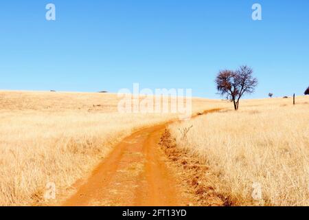 A road to freedom in the African wilderness Stock Photo