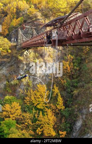 Bungy jumping from the Kawarau Gorge Suspension Bridge, New Zealand, in autumn Stock Photo