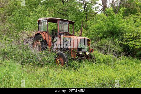 Old rusty vintage abandoned tractor in a field overgrown with tall grass. Stock Photo