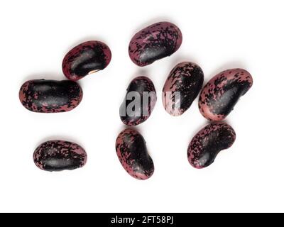 Mottled seeds of the climbing runner bean, Phaseolus coccineus 'Scarlet Emperor', isolated on a white background Stock Photo
