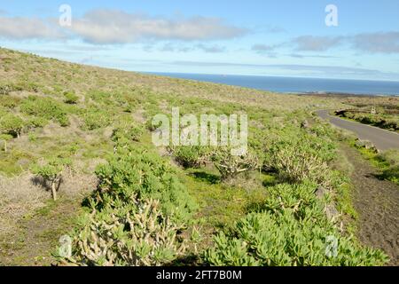 Landscape on canary island of Lanzarote in Spain Stock Photo