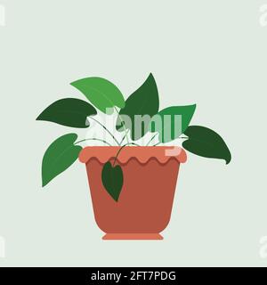 front view of clay pot for house plants isolated on grey tint background Stock Vector
