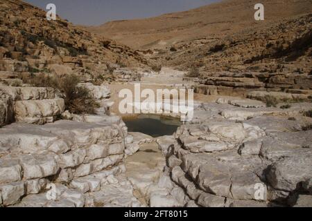 Water pool or rain pool in a hole in a dry riverbed rock in the Negev Desert filled by winter floods, if deep and in shade water will last thru summer Stock Photo