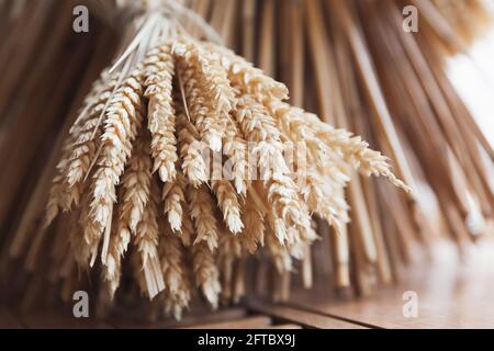 A bunch of dry ears, close up photo with selective soft focus Stock Photo
