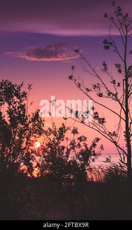 Colorful summer sunset, summer evening landscape photo with trees silhouettes under colorful sky Stock Photo