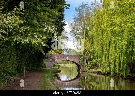 Bridge 162 over Trent and Mersey canal in Elworth near Sandbach Cheshire UK Stock Photo