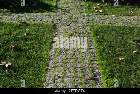 Cobblestone stone pavement background texture on the street Stock Photo