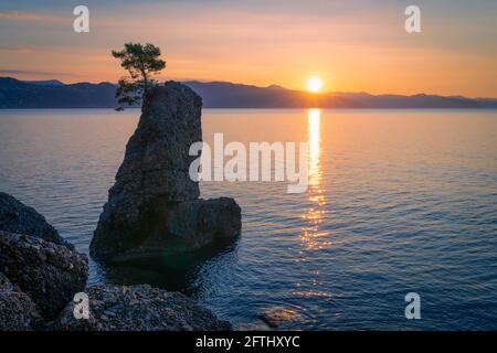 Pine tree rock in Portofino park at sunrise in the morning, Italy Stock Photo