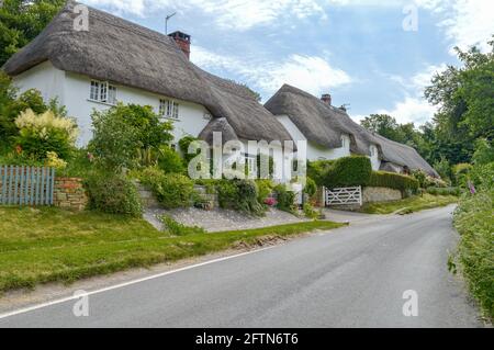 Thatched Cottages In Stapleford, Wiltshire, England Stock Photo