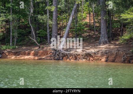 Lake Lanier at low levels in drought stricken Georgia, USA. Lake Lanier