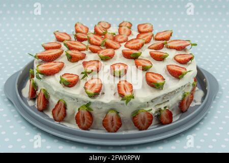 Isolated strawberry cheesecake on white dotted turquoise background decorated with fresh half strawberries. Stock Photo