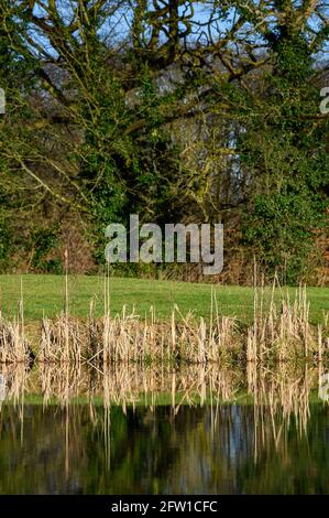 Marriott Country Park, Worsley, Manchester Stock Photo