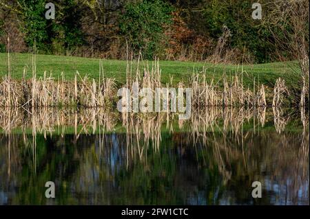 Marriott Country Park, Worsley, Manchester Stock Photo