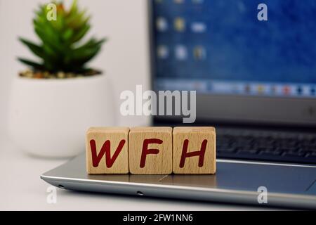 photo on WFH (work from home) theme. wooden cubes with the acronym "WFH", on the background of laptop and succulent Stock Photo