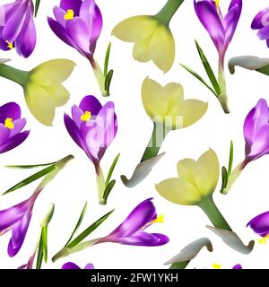 seamless patterns with crocuses and daffodils on a white background Stock Vector