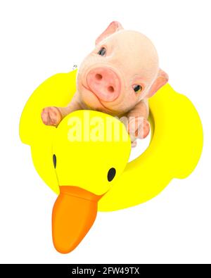 piglet cartoon inside the duck buoy, 3d illustration Stock Photo