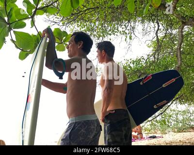 Two young surfers check out the waves at a beach in Tamarindo, Costa Rica from the shade of a Mangrove tree. Stock Photo