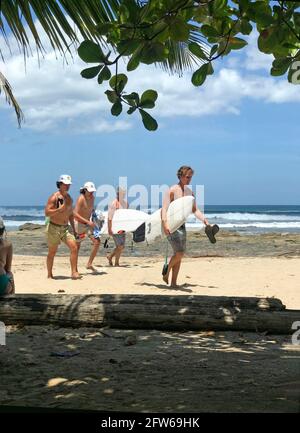 Surfers return to beach from Pacicif Ocean at Tamarindo, Costa Rica Stock Photo