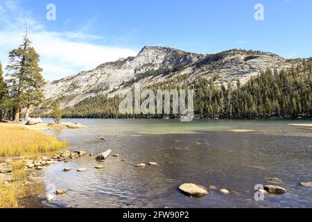 A peaceful afternoon at Tenaya Lake in Yosemite national park on a sunny afternoon Stock Photo