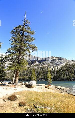 A peaceful afternoon at Tenaya Lake in Yosemite national park on a sunny afternoon Stock Photo