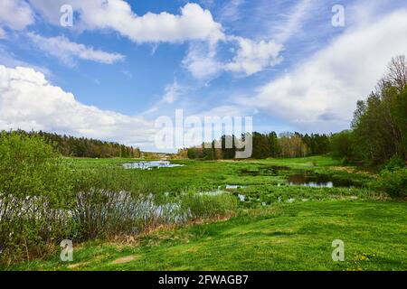 Hemmesta Lake meadow (Hemmesta Sjöäng) The shallow bird lake at Hemmesta outside Stockholm Stock Photo