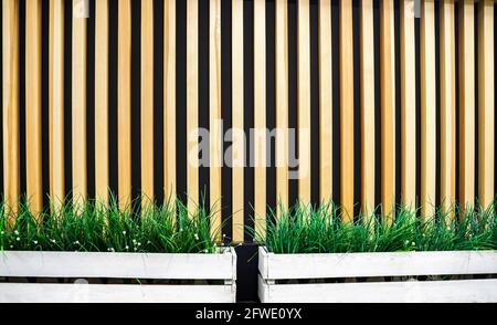 Vegetation, green grass with plant leaves isolated on a background of wooden sticks. Modern interior Stock Photo