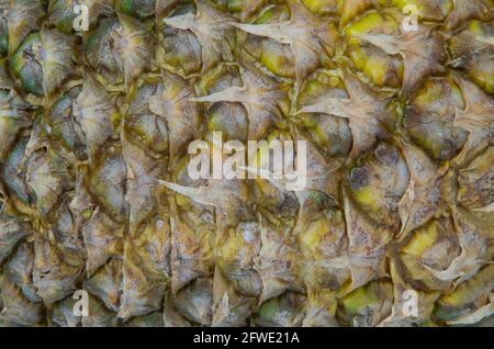 Macro shot of pineapple skin. Ripe pineapple close up, background. Stock Photo