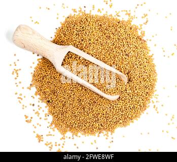 top view of wooden scoop on pile of yellow seeds of oriental mustard (Brassica Juncea) on white background