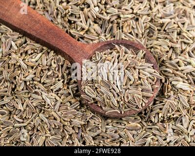Kalazeera pile of kala zeera seeds (elwendia persica, black cumin) closeup on ...