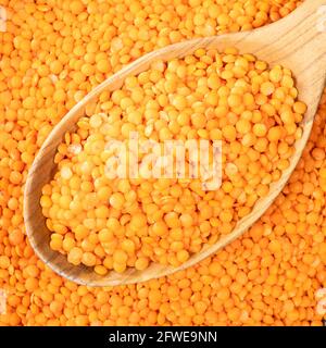 top view of hulled red lentils in wooden spoon closeup Stock Photo