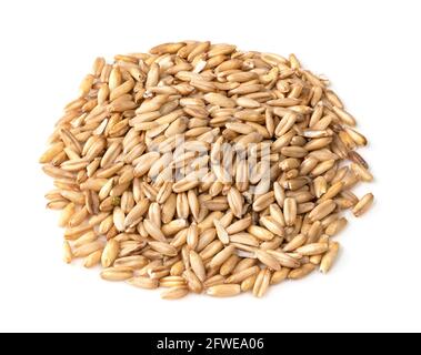 handful of wholegrain oat grains closeup on white background Stock Photo