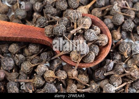 wooden spoon on pile of dried cubeb pepper closeup Stock Photo