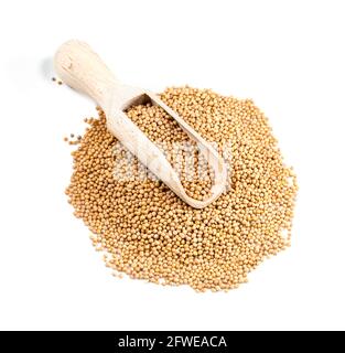wooden scoop on pile of white mustard seeds on white background