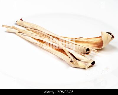 several dried lemongrass close up on white plate Stock Photo