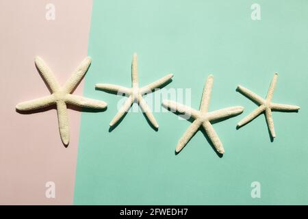 Starfish on pink and green background. summer marine decoration. flat lay, top view, copy space Stock Photo