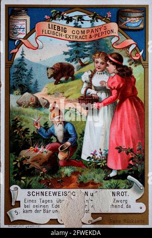 Fairy Tale Snow White And Rose Red They Freed One Day In The Forest A Dwarf Whose Beard Was Stuck In The Crack Of A Tree Marchen Schneeweisschen Und Rosenrot Sie Fairy Tale Snow White And Rose Red They Freed One Day In The Forest A Dwarf Whose Beard Was Stuck In The Crack Of A Tree Marchen Schneeweisschen Und Rosenrot Sie