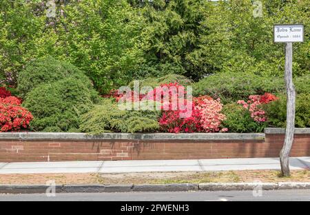 Jobs Lane Sign in a colorful landscape, Southampton, NY Stock Photo