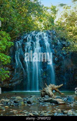 Ellinjaa Falls, Atherton Tablelands, Queensland, Australia Stock Photo