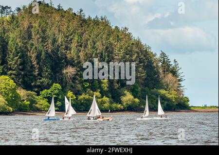 Bantry, West Cork, Ireland. 22nd May, 2021. The sun shone on Bantry this morning with many locals and visitors taking full advantage of the good weather. Bantry Bay Sailing Club's Saturday morning sailing session attracted many sailors. Credit: AG News/Alamy Live News Stock Photo