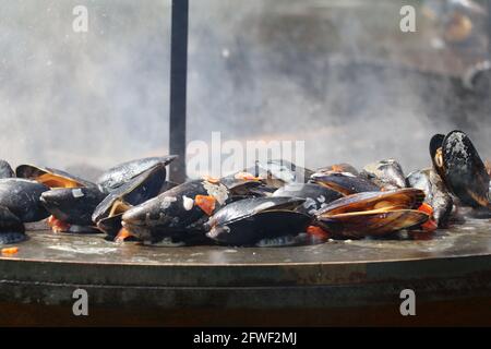 mussels cooking outdoors on the flat grill Stock Photo