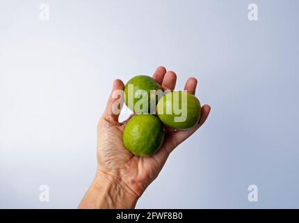 Limes on hand in a bright background Stock Photo