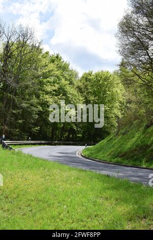 twisted Eifel road in spring Stock Photo
