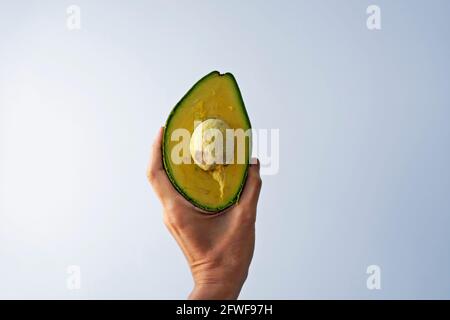 Half an avocado on hand in a bright background Stock Photo