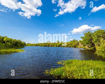 Sunny day with blue sky and white clouds in Deer Prairie Creek Preserve in Venice Florida USA